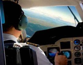 نسر على متن الطائرة.. كاد يحدث كارثة! صورة رقم 1