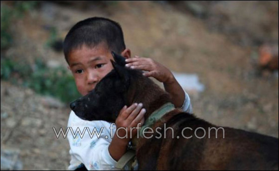 قصة مدهشة عن يتيم ينبذه مجتمعه لمرضه ويعيش وحيدا!  صورة رقم 11