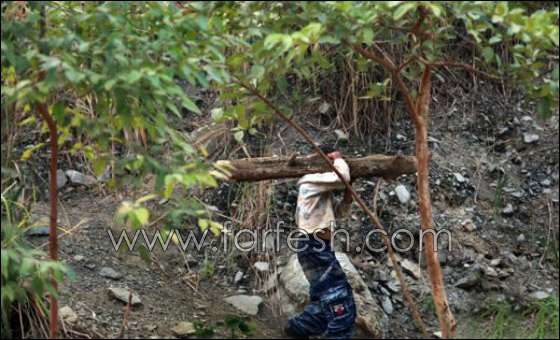 قصة مدهشة عن يتيم ينبذه مجتمعه لمرضه ويعيش وحيدا!  صورة رقم 6