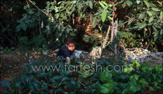 قصة مدهشة عن يتيم ينبذه مجتمعه لمرضه ويعيش وحيدا!  صورة رقم 12