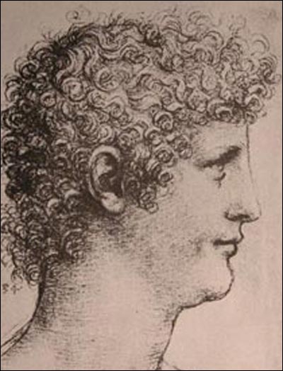 أكتشاف يثير الجدل.. الموناليزا رجل وهو عشيق دي فينشي!  صورة رقم 3