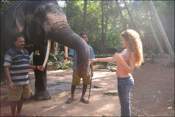 بالصور.. ميريام فارس تحيي عرسا خاصا في الهند بزي الساري! صورة رقم 1 بالصور.. ميريام فارس تحيي عرسا خاصا في الهند بزي الساري! صورة رقم 1