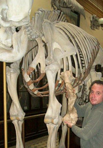 امريكا: العثور على هيكل 