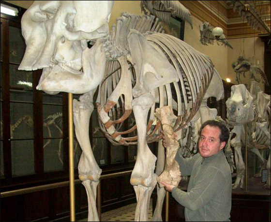 امريكا: العثور على هيكل 