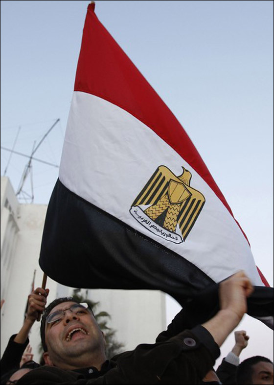 بالصور.. العرب يعبرون عن مشاعرهم بعد تنحي مبارك  صورة رقم 5