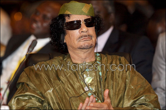 اوجه الشبه بين الازمة السياسية للقذافي والازمة النفسية للنجم شين صورة رقم 9