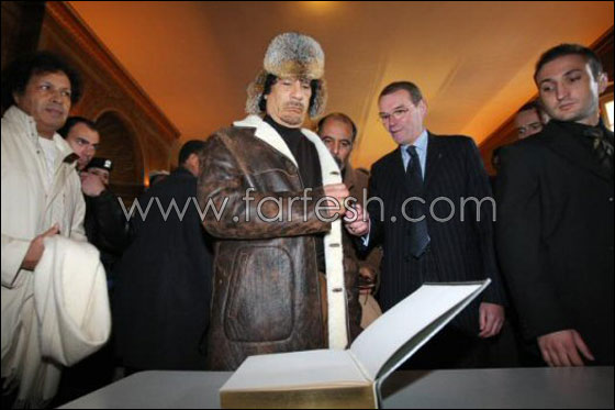 اوجه الشبه بين الازمة السياسية للقذافي والازمة النفسية للنجم شين صورة رقم 10