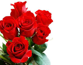 في يوم المرأة العالمي.. اهد زوجتك باقة ورد بـ10500 دولار صورة رقم 1