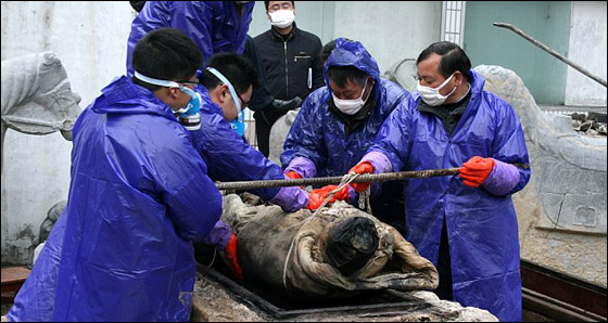 العثور على مومياء عمرها 700 سنة بجانب مقبرتين.. وبحالة جيدة! صورة رقم 1 العثور على مومياء عمرها 700 سنة بجانب مقبرتين.. وبحالة جيدة! صورة رقم 1