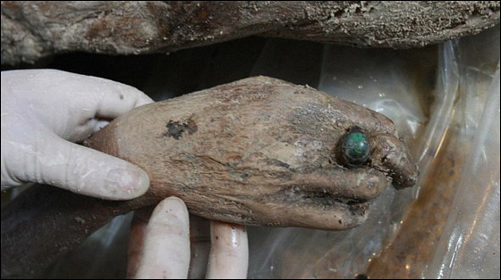 العثور على مومياء عمرها 700 سنة بجانب مقبرتين.. وبحالة جيدة! صورة رقم 7 العثور على مومياء عمرها 700 سنة بجانب مقبرتين.. وبحالة جيدة! صورة رقم 7