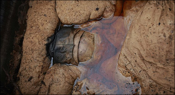 العثور على مومياء عمرها 700 سنة بجانب مقبرتين.. وبحالة جيدة! صورة رقم 6 العثور على مومياء عمرها 700 سنة بجانب مقبرتين.. وبحالة جيدة! صورة رقم 6