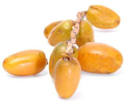 قل لي أي نوع تمر تحب أقول لك من أنت!! صورة رقم 2 قل لي أي نوع تمر تحب أقول لك من أنت!! صورة رقم 2