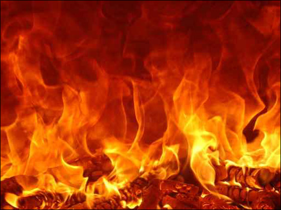 10 قرويين في الهند يلقوا حتفهم بسبب.. نزاع على الارض!!! صورة رقم 1