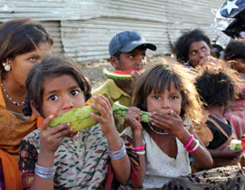 مخاطر من حدوث ازمة غذاء جديدة! صورة رقم 1