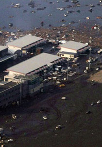 تسونامي اليابان يكشف مكان 