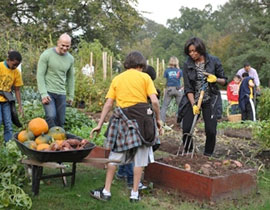 ميشيل اوباما تصدر كتابا عن حديقة الخضراوات في البيت الابيض صورة رقم 1 ميشيل اوباما تصدر كتابا عن حديقة الخضراوات في البيت الابيض صورة رقم 1