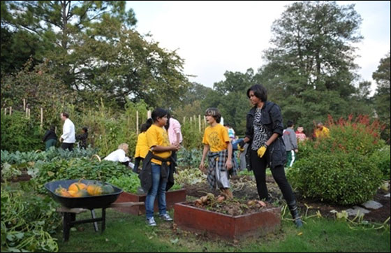 ميشيل اوباما تصدر كتابا عن حديقة الخضراوات في البيت الابيض صورة رقم 3 ميشيل اوباما تصدر كتابا عن حديقة الخضراوات في البيت الابيض صورة رقم 3