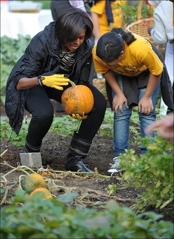 ميشيل اوباما تصدر كتابا عن حديقة الخضراوات في البيت الابيض صورة رقم 5 ميشيل اوباما تصدر كتابا عن حديقة الخضراوات في البيت الابيض صورة رقم 5