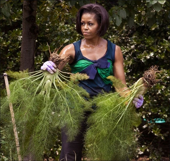 ميشيل اوباما تصدر كتابا عن حديقة الخضراوات في البيت الابيض صورة رقم 6 ميشيل اوباما تصدر كتابا عن حديقة الخضراوات في البيت الابيض صورة رقم 6