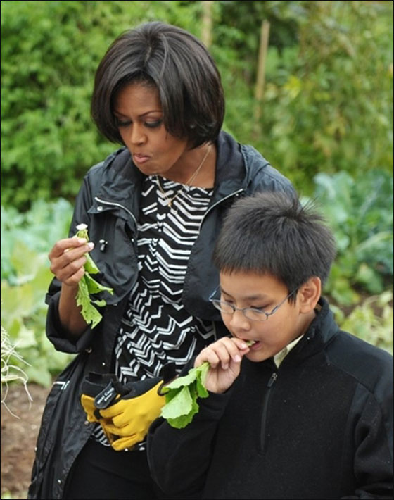 ميشيل اوباما تصدر كتابا عن حديقة الخضراوات في البيت الابيض صورة رقم 9 ميشيل اوباما تصدر كتابا عن حديقة الخضراوات في البيت الابيض صورة رقم 9