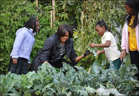 ميشيل اوباما تصدر كتابا عن حديقة الخضراوات في البيت الابيض صورة رقم 8 ميشيل اوباما تصدر كتابا عن حديقة الخضراوات في البيت الابيض صورة رقم 8