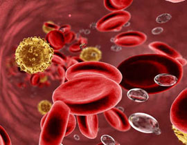 فريق طبي لبناني يطور علاجا لاخطر انواع سرطان دم! صورة رقم 1 فريق طبي لبناني يطور علاجا لاخطر انواع سرطان دم! صورة رقم 1