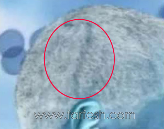 شعر اوباما يثير الجدل والبعض يعتقد انه من كوكب آخر صورة رقم 5 شعر اوباما يثير الجدل والبعض يعتقد انه من كوكب آخر صورة رقم 5