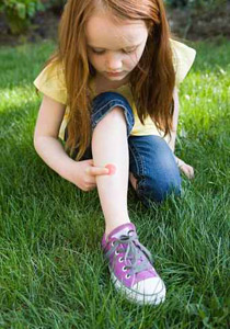 تشخيص خاطئ للدغة ثعبان كاد يكلف طفلة حياتها!! صورة رقم 1 تشخيص خاطئ للدغة ثعبان كاد يكلف طفلة حياتها!! صورة رقم 1