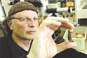 باحث اسرائيلي يعرض المسامير التي استخدمت في صلب المسيح صورة رقم 2 باحث اسرائيلي يعرض المسامير التي استخدمت في صلب المسيح صورة رقم 2