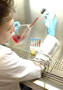 بعد 20 عاما في السجن.. تثبت براءته بواسطة الـ DNA !! صورة رقم 1 بعد 20 عاما في السجن.. تثبت براءته بواسطة الـ DNA !! صورة رقم 1