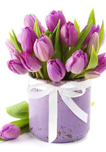 مصريون يرسلون باقات من الورود، فاكهة وعصير لحسني مبارك! صورة رقم 1 مصريون يرسلون باقات من الورود، فاكهة وعصير لحسني مبارك! صورة رقم 1