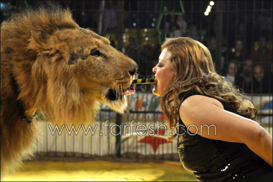 فاتن الحلو تحتفل باعياد الربيع والسيرك المصري يكرم القائمة البيضاء صورة رقم 2 فاتن الحلو تحتفل باعياد الربيع والسيرك المصري يكرم القائمة البيضاء صورة رقم 2