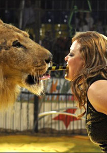 فاتن الحلو تحتفل باعياد الربيع والسيرك المصري يكرم القائمة البيضاء صورة رقم 1 فاتن الحلو تحتفل باعياد الربيع والسيرك المصري يكرم القائمة البيضاء صورة رقم 1