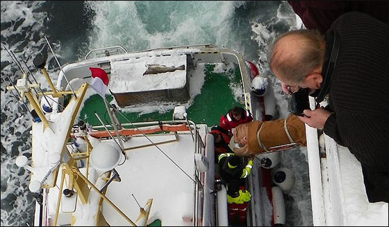 مسعفون يلقون بعجوز 73 عاما بمياه المحيط الجليدي.. بالخطا صورة رقم 2 مسعفون يلقون بعجوز 73 عاما بمياه المحيط الجليدي.. بالخطا صورة رقم 2