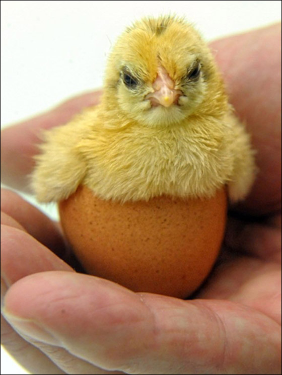 بالصور.. مسلسلات اون لاين ينقل لكم احتفالات الجمعة العظيمة حول العالم!! صورة رقم 30 بالصور.. مسلسلات اون لاين ينقل لكم احتفالات الجمعة العظيمة حول العالم!! صورة رقم 30