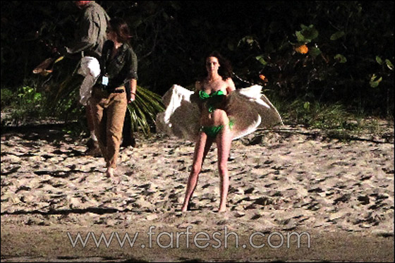 بالصور.. مشاهد مثيرة خلال تصوير فيلم Breaking Dawn!  صورة رقم 3