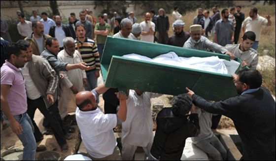 جثث متناثرة في مصراته خلال معارك بين الثوار والكتائب  صورة رقم 3