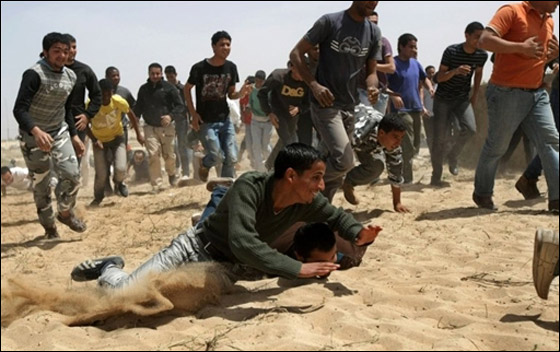 جثث متناثرة في مصراته خلال معارك بين الثوار والكتائب  صورة رقم 4