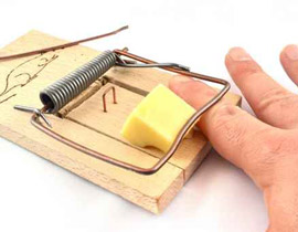 فقد ابنه عقب ضربه فأرة بآلة حادة دون ذكر البسملة!! صورة رقم 1