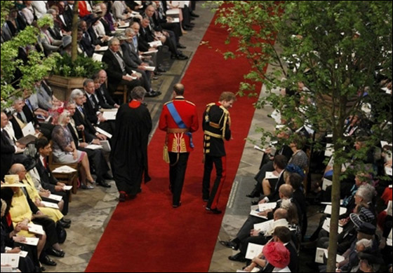 ما هي الكلمات التي تبادلها الامير وكايت على شرفة قصر بكنغهام؟ صورة رقم 9