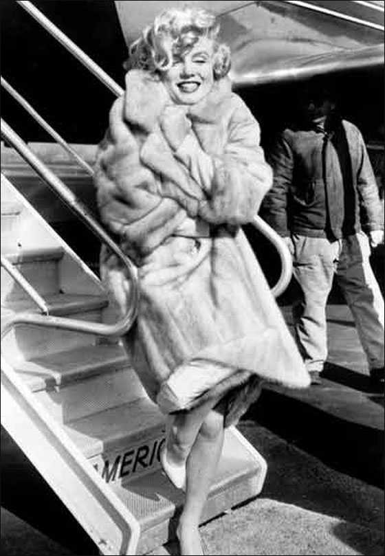 ليلة مارلين مونرو الاخيرة كانت مع زعيم عصابات مغرمة فيه!  صورة رقم 4