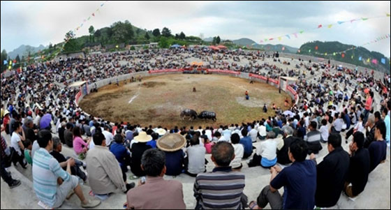 مسلسلات اون لاين ينقل لكم صور لعمال العالم يتظاهرون بذكرى الاول من ايار   صورة رقم 12