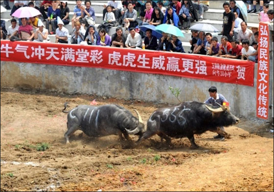 مسلسلات اون لاين ينقل لكم صور لعمال العالم يتظاهرون بذكرى الاول من ايار   صورة رقم 1