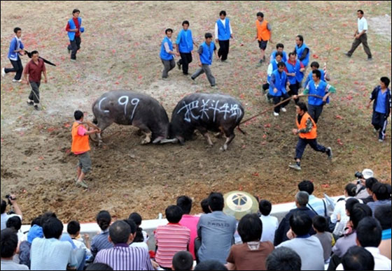 مسلسلات اون لاين ينقل لكم صور لعمال العالم يتظاهرون بذكرى الاول من ايار   صورة رقم 13