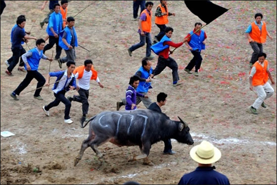 مسلسلات اون لاين ينقل لكم صور لعمال العالم يتظاهرون بذكرى الاول من ايار   صورة رقم 14