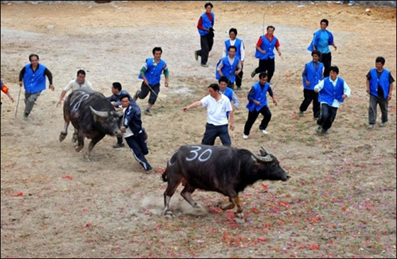 مسلسلات اون لاين ينقل لكم صور لعمال العالم يتظاهرون بذكرى الاول من ايار   صورة رقم 16