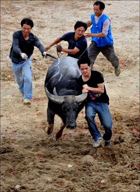 مسلسلات اون لاين ينقل لكم صور لعمال العالم يتظاهرون بذكرى الاول من ايار   صورة رقم 17