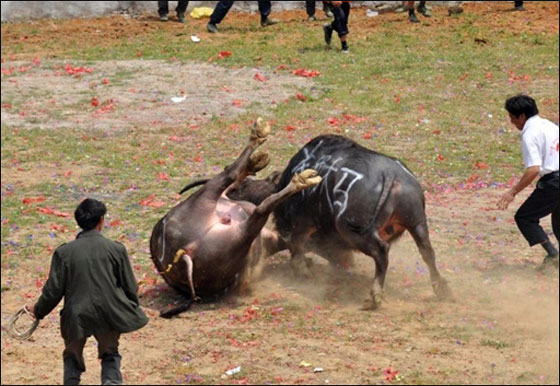 مسلسلات اون لاين ينقل لكم صور لعمال العالم يتظاهرون بذكرى الاول من ايار   صورة رقم 18