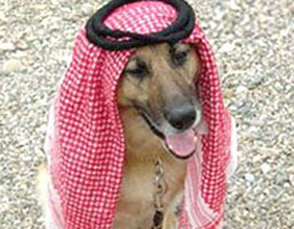 طرد استاذ امريكي من السعودية لعرضه صورة كلب مرتديا شماغا! صورة رقم 1