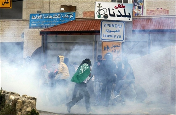 العودة حق فلسطيني.. والملتقى مارون الراس يوم الأحد  صورة رقم 12